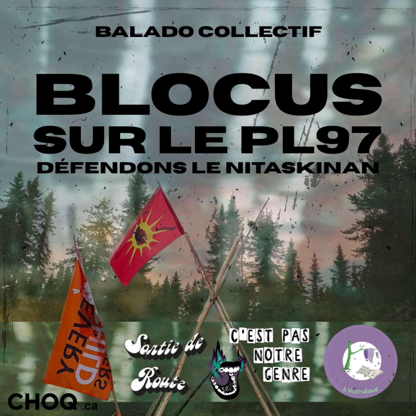 IMGF6 FBD29 A12 A4 1