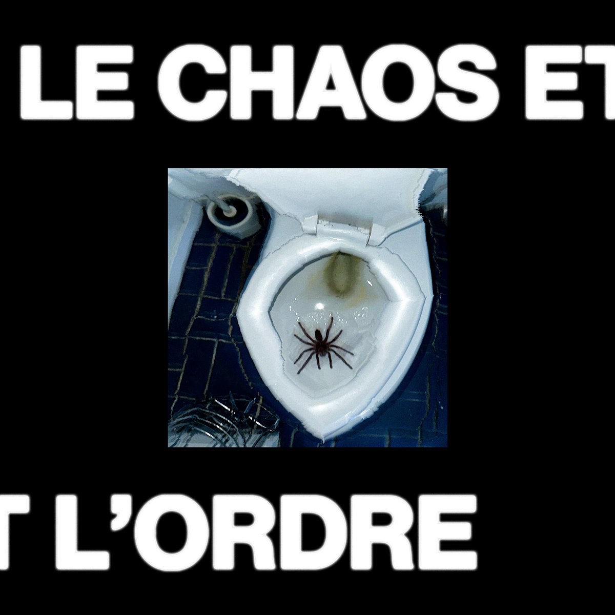 Élégie Le chaos et lordre