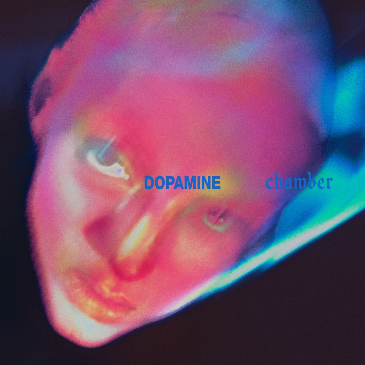 Fontaines D C Dopamine Chamber