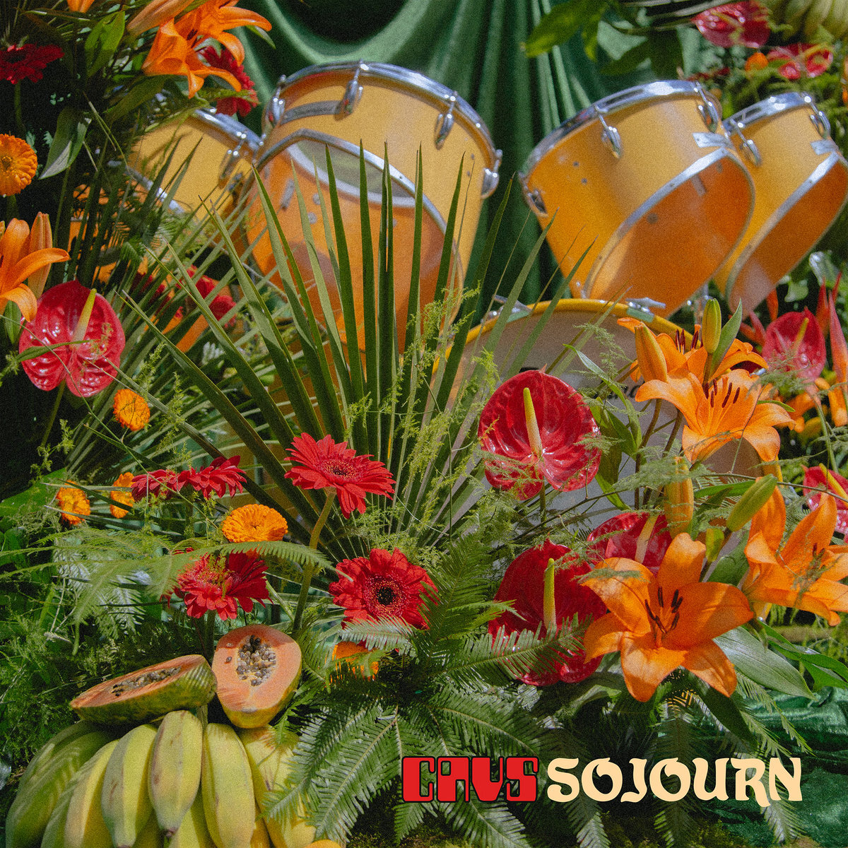 CAVS Sojourn